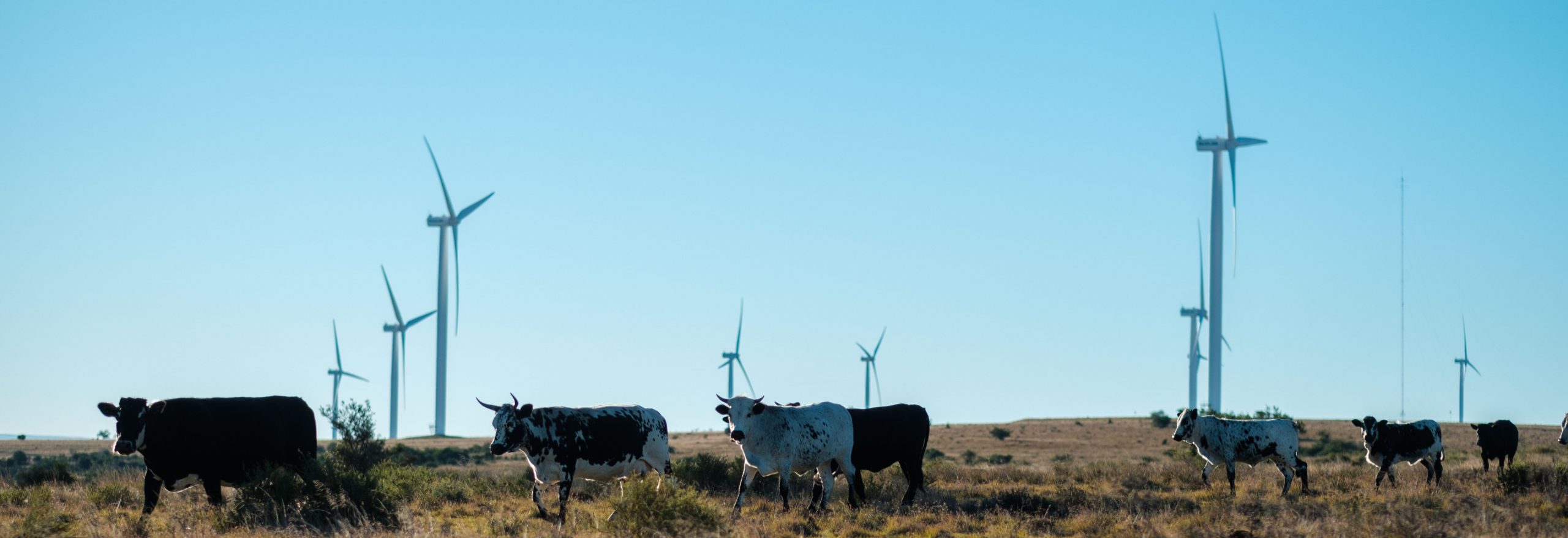 eims-cookhouse-wind-farm-project